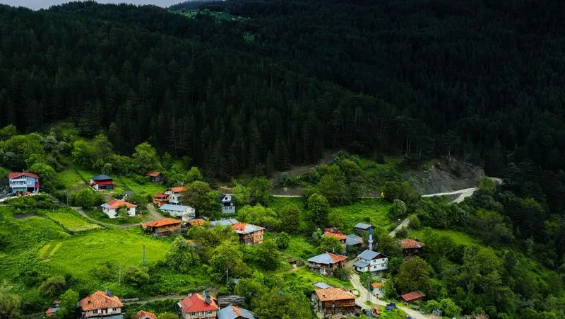 🏞️ Наслаждайтесь природой