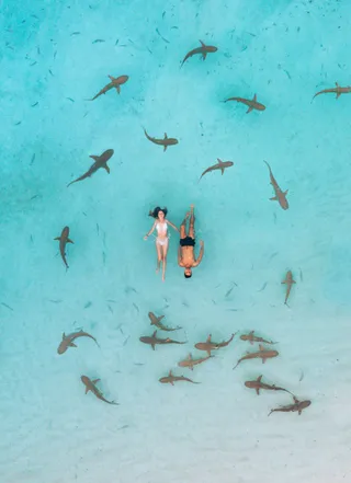 СНОРКЛИНГ С РИФОВЫМИ АКУЛАМИ