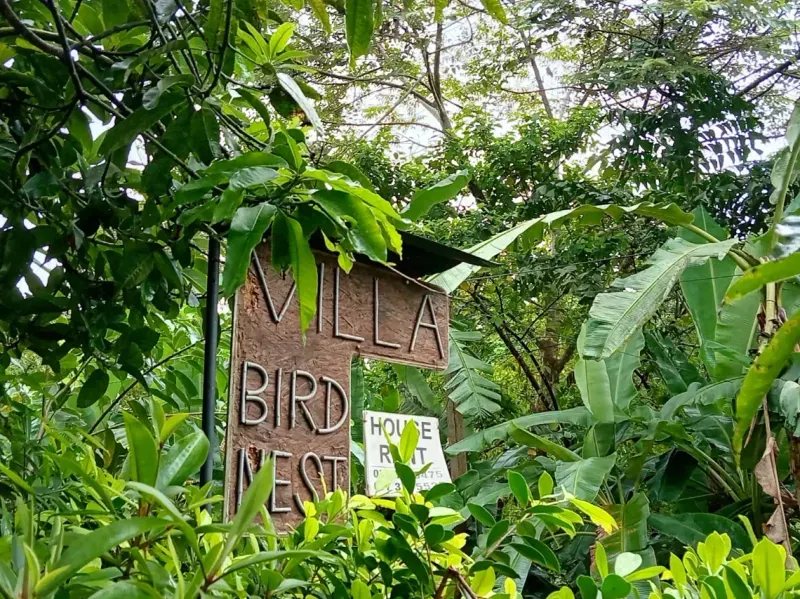 Unawatuna Villa Bird Nest  