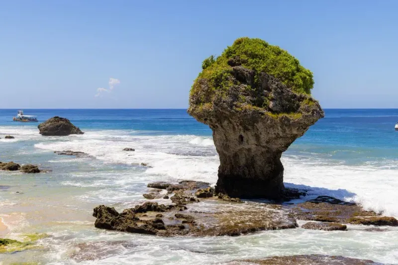 Индивидуальная экскурсия на остров Нуса-Пенида, Бали