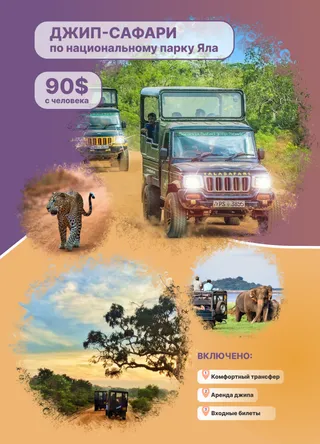 сафари шри ланка 