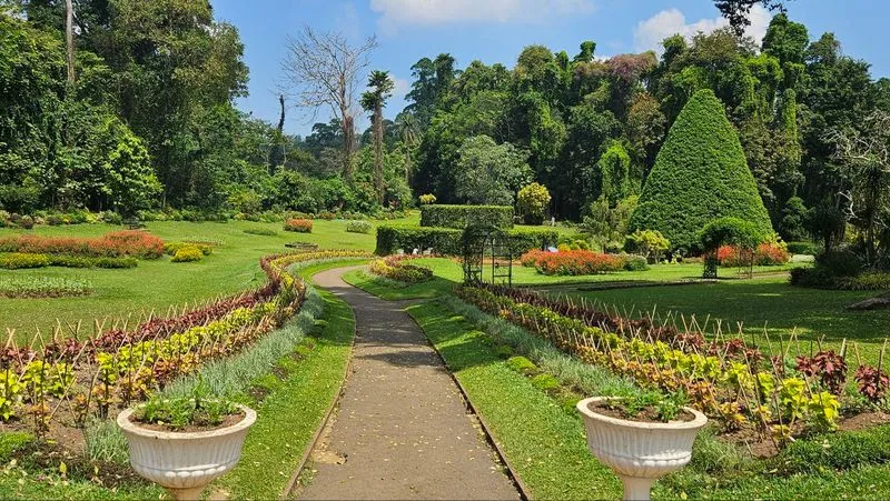 Золотое кольцо Шри-Ланки