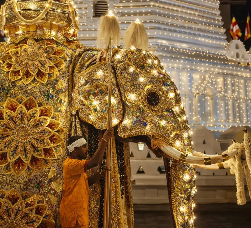 🐘 Эсала Перахера