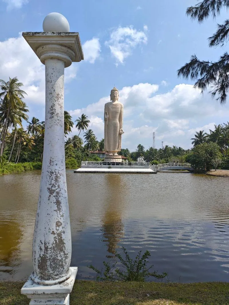 Галле и речное сафари