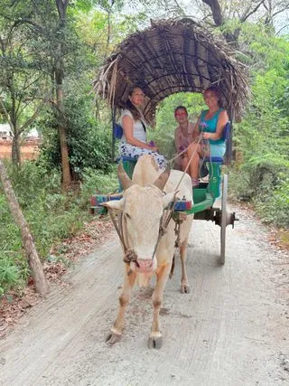 ПОВОЗКА С БУЙВОЛОМ