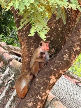 ЛУЧШЕЕ ВРЕМЯ ДЛЯ НАБЛЮДЕНИЯ