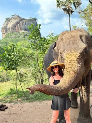 сигирия  Слон