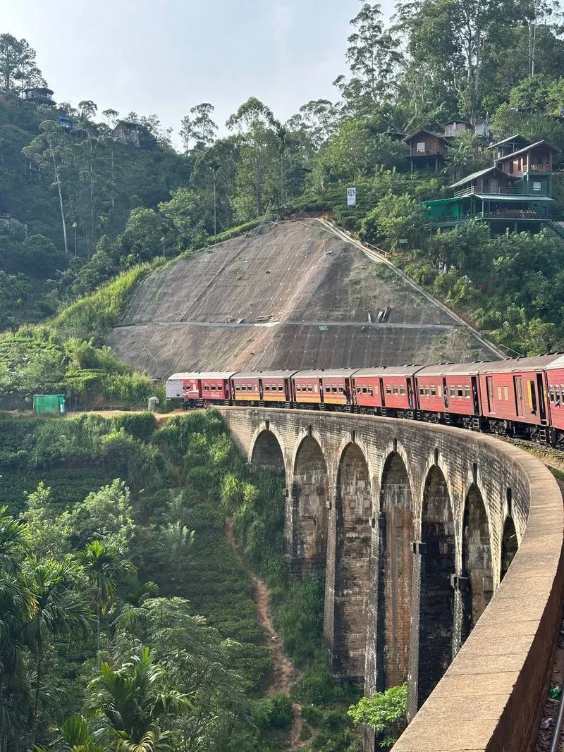 Комбо-тур Элла Сигирия и слоны