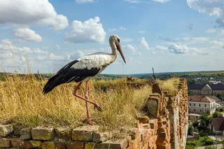 СЕЛО СУРЕНАВАН