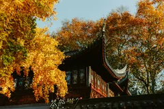 🍂 Осенний сезон