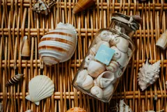 🐚 Ракушки и декор