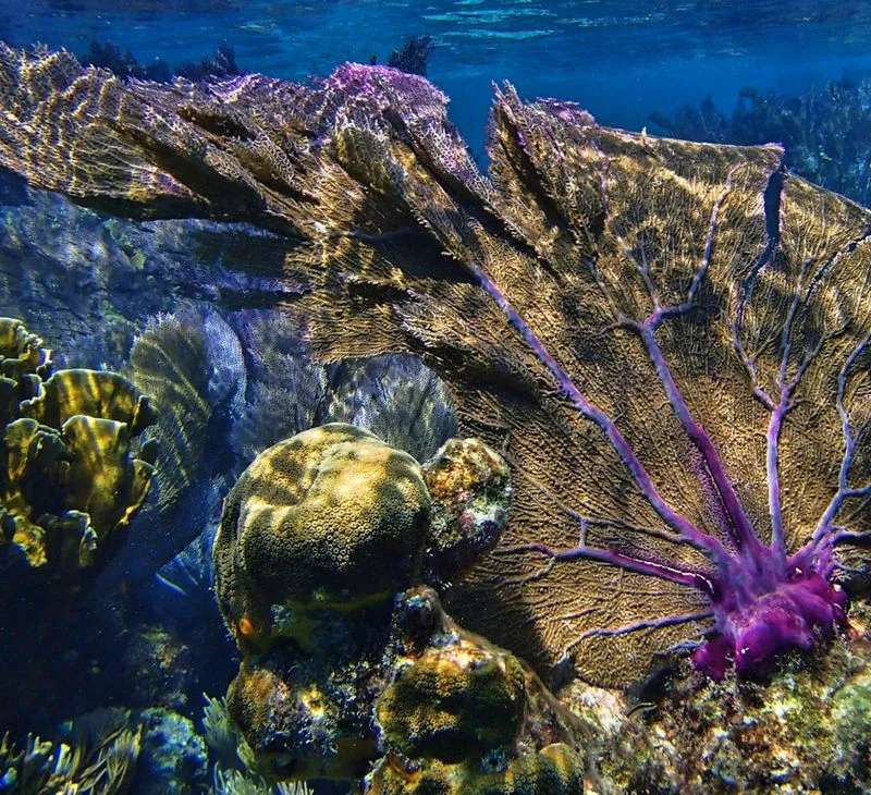 Развлечения