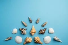 🐚 Украшения из ракушек
