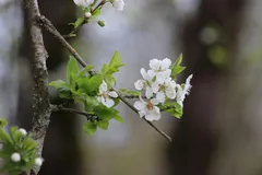 🌸 Весенний сезон