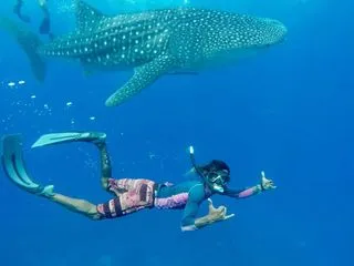 отель Maafushi Village