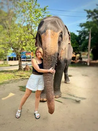 СЛОН У СИГИРИИ