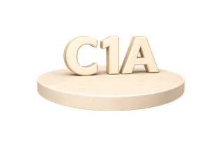 Виза C1A