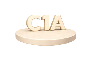 Виза C1A