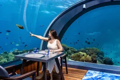 🌊 Подводные рестораны и арт-объекты