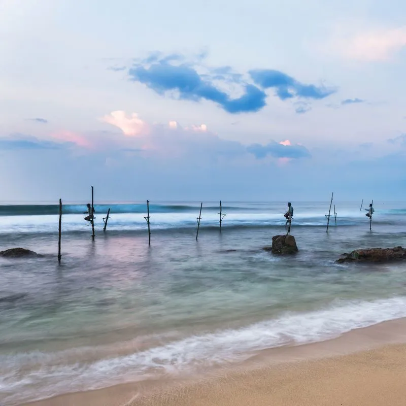 Проснитесь пораньше и посмотрите рыбаков на ходулях