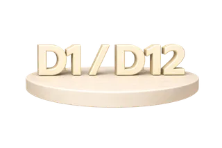 Виза D1 / D12