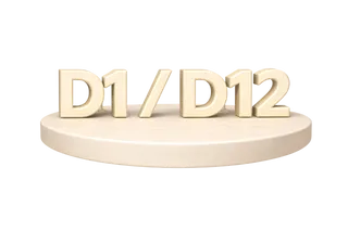 Виза D1 / D12
