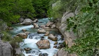 РЕКА КЁПРЮЧАЙ