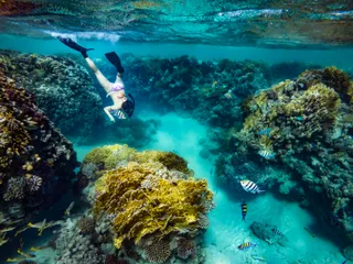 CORAL PARK