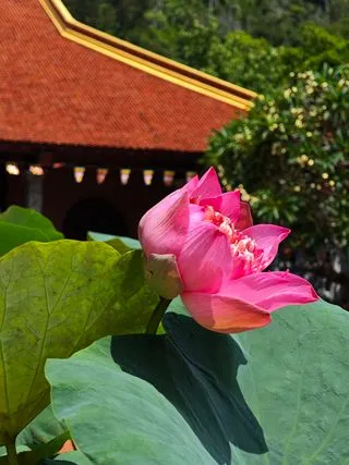 ПАГОДА ХО КУОК