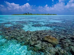 🏝 Песчаная коса + снорклинг