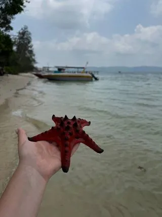 ПЛЯЖ СО ЗВЁЗДАМИ