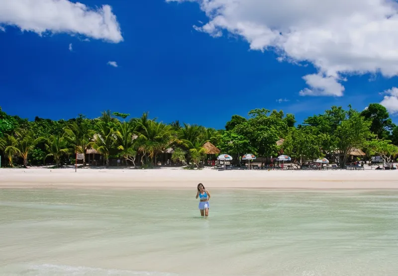 🌴 Пальмы и фототочки у берега