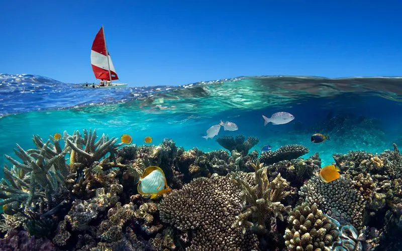 🌊 Подводный мир и отдых на яхте