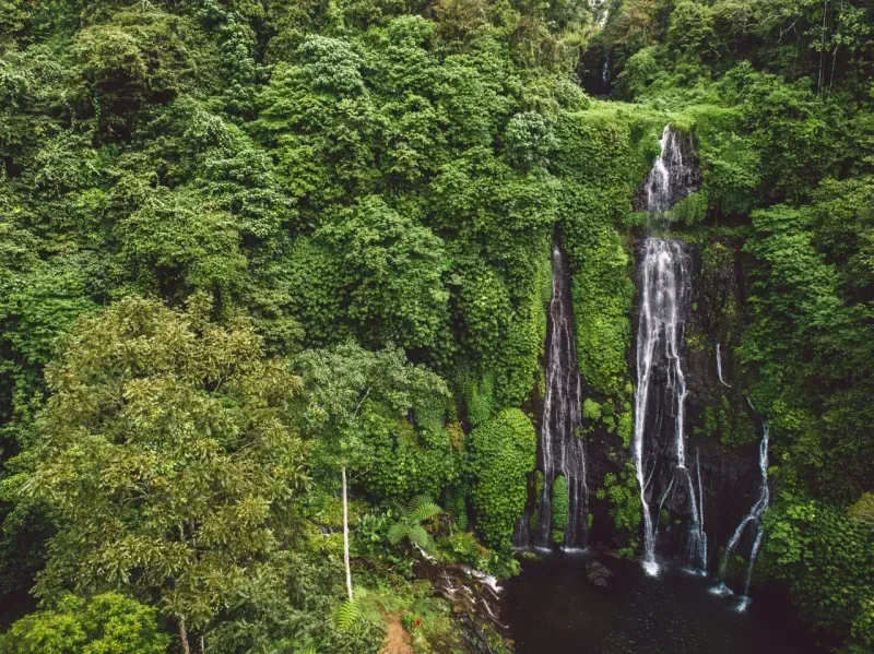 Индивидуальная экскурсия "Скрытые сокровища Бали: путешествие на север острова"
