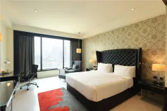 Radisson Blu Hotel Paschim Vihar — Дели