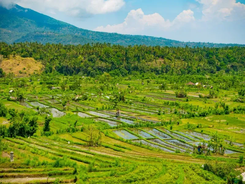 Индивидуальная экскурсия на Бали Восхождение на вулкан Батур