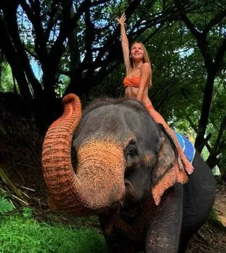 ЗАВТРАК СО СЛОНАМИ