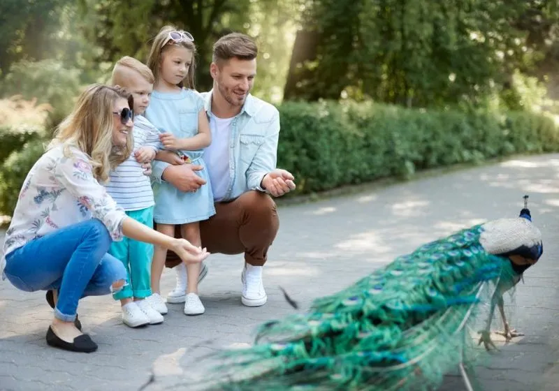 👨‍👩‍👧 Провести время с семьёй