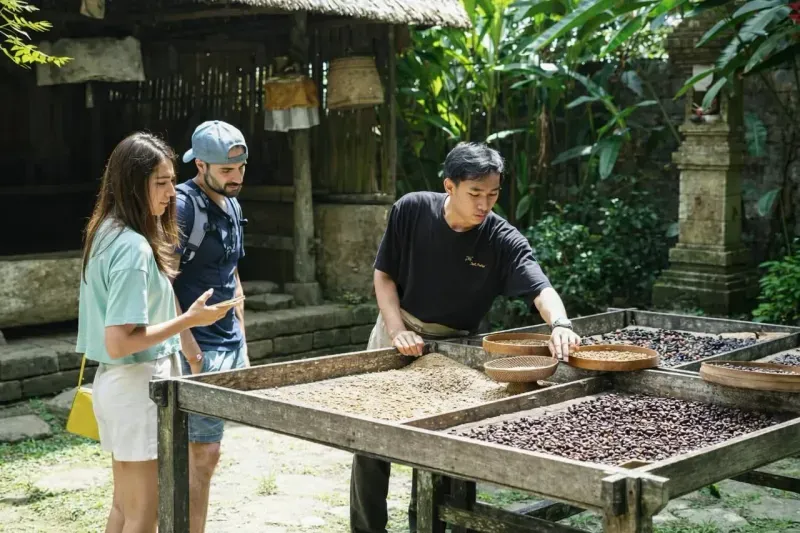 Экскурсия в Кинтамани на Бали: рисовые террасы, храм Пура Джати и кофе с видом на вулкан