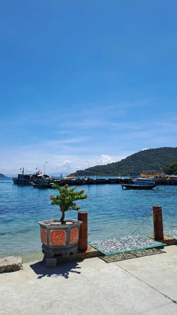 Экскурсия на остров Чам из Дананга: море, снорклинг и национальный парк ЮНЕСКО