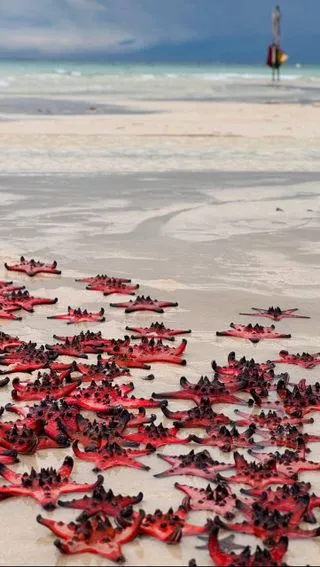 РАЙСКИЙ ПЛЯЖ