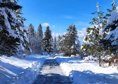 ❄️Зимний сезон