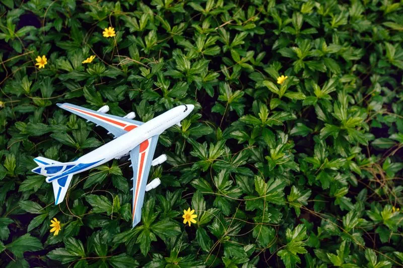 Животные и растения без разрешений