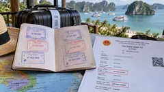 🔄 Многократная e-Visa