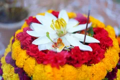 🌺 Цветочные подношения кананг сари