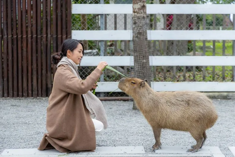 Экскурсия в Фанранг из Нячанга