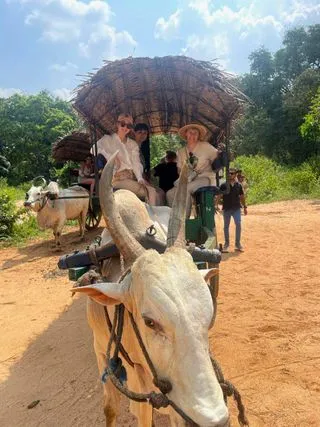 КАТАНИЕ НА ТЕЛЕГЕ