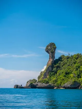 Chicken Island