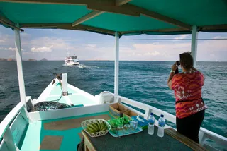 МОРСКОЕ САФАРИ ПО KAAFU ATOLL