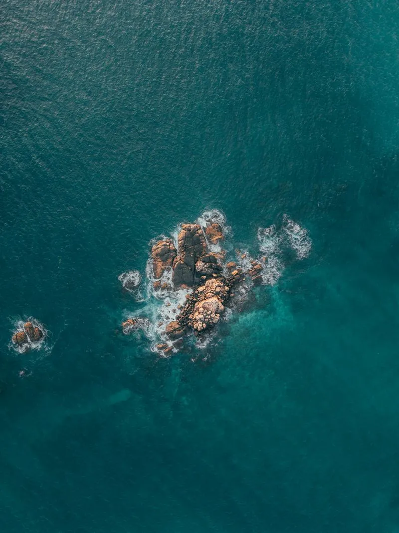 🌊 Более спокойный океан